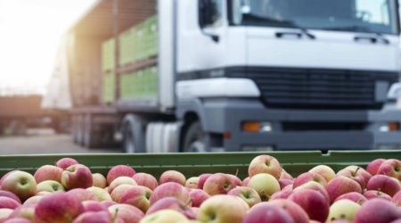 Apples container ready for shipping.